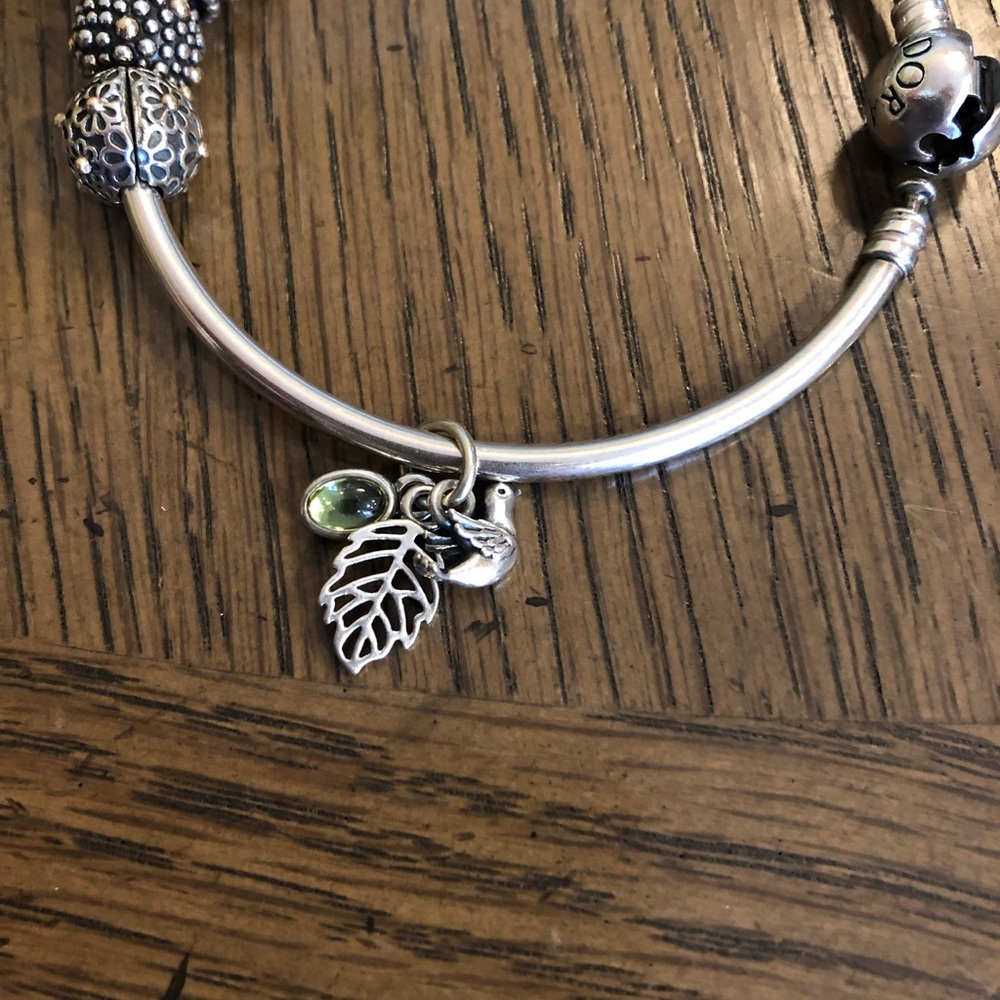 Pandora dangle bead.